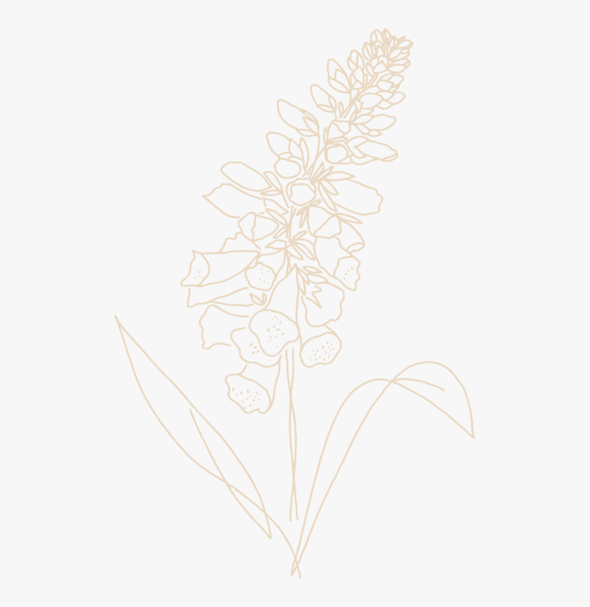 Darling & Daughters - Sketch, HD Png Download