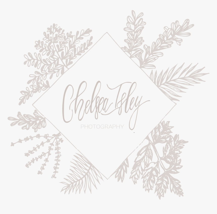 Sketch, HD Png Download
