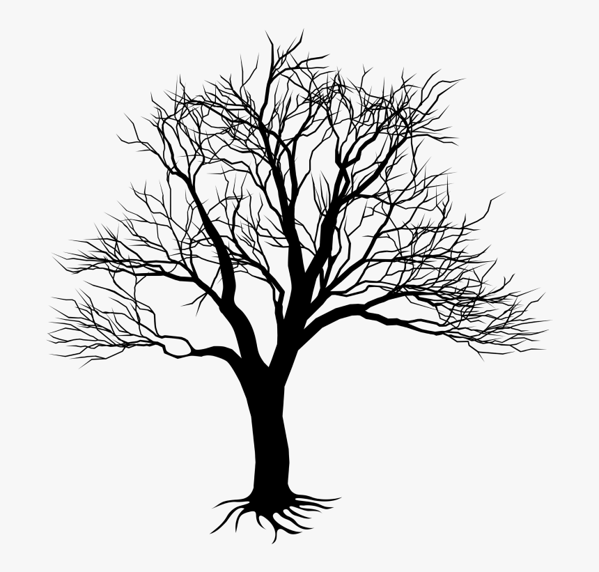 Kill A Mockingbird Tree, HD Png Download