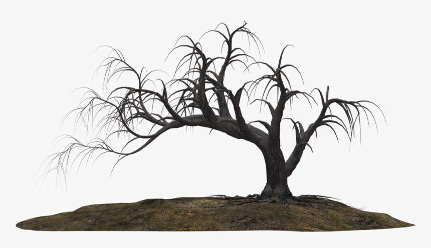 Creepy Tree 19 By Wolverine041269 - Scary Tree Png, Transparent Png