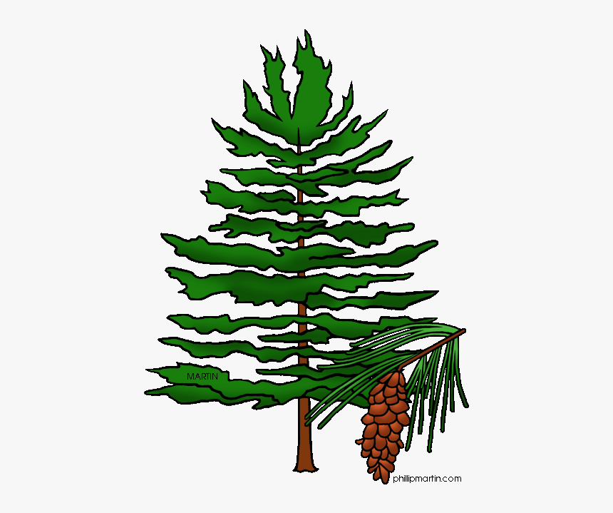 Clipart Pine Tree Png Freeuse Black And White Pine - Pine Tree Clipart, Transparent Png