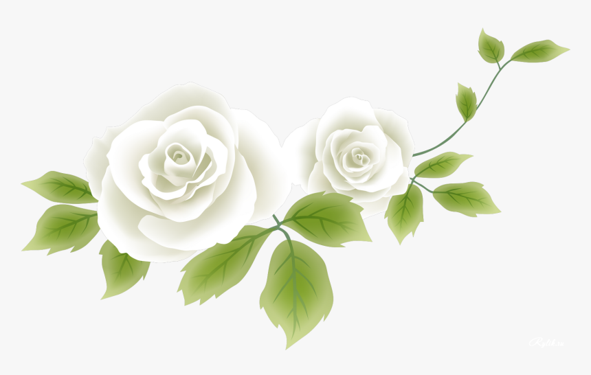 Flower Drawing Clip Art - Рисунок Розы Без Фона, HD Png Download