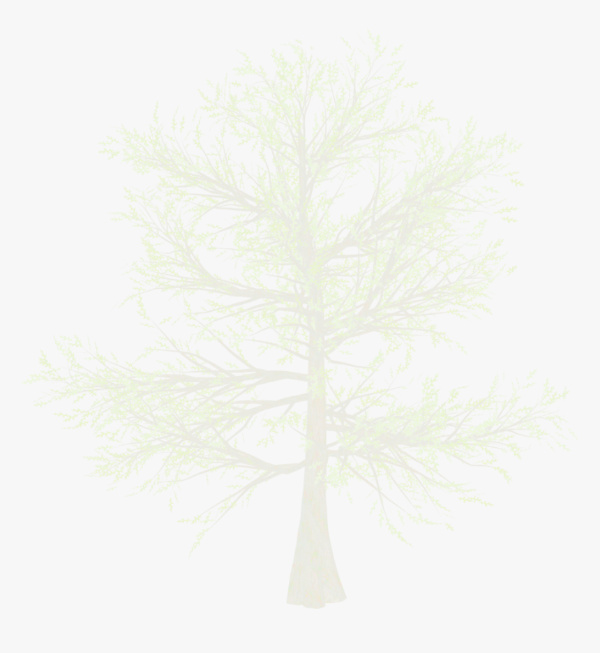 Falling Snow Transparent Png - Red Pine, Png Download