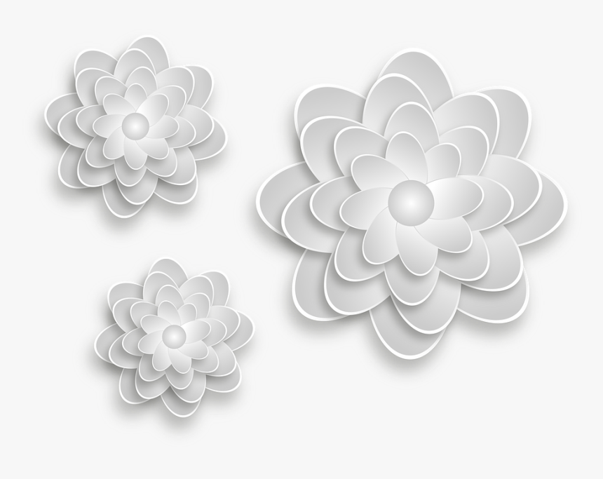 Flor Gris Png, Transparent Png