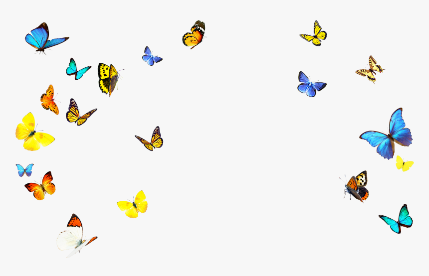 Clip Art, HD Png Download