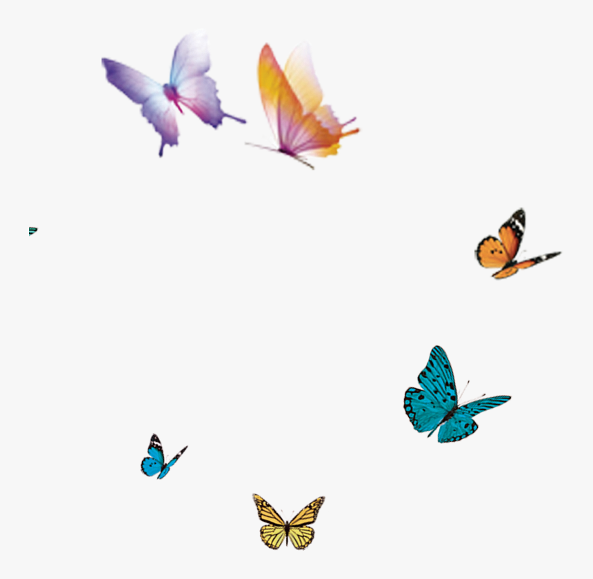 Transparent Moth Flying - Butterfly In Flight Png, Png Download