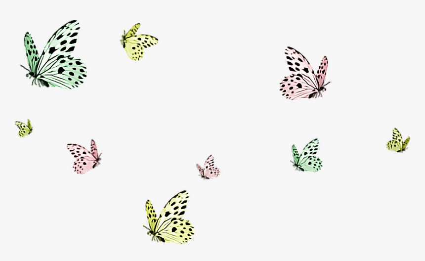 #butterflies #butterfly #flying #butterflysticker #dailysticker - Transparent Background Butterflies Png, Png Download