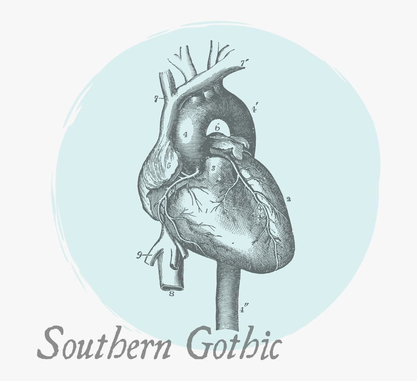 Picture - Vintage Illustration Art Vector, HD Png Download