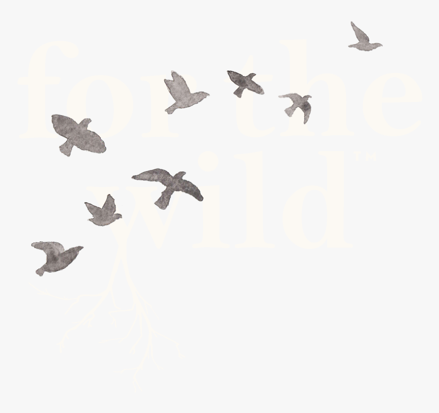 Calligraphy, HD Png Download