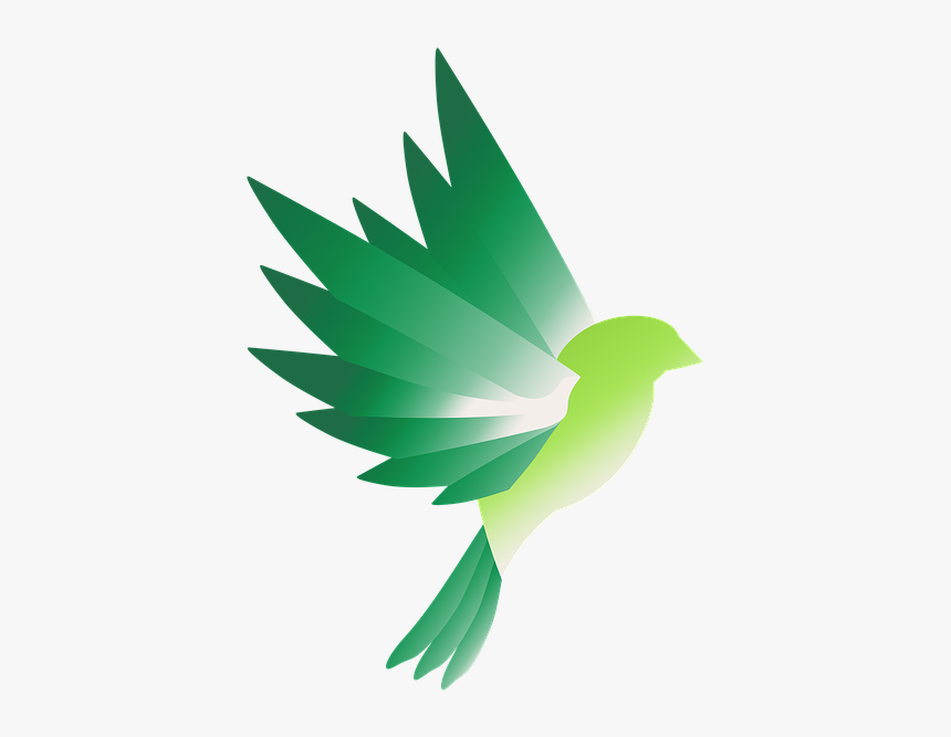 Illustration, HD Png Download