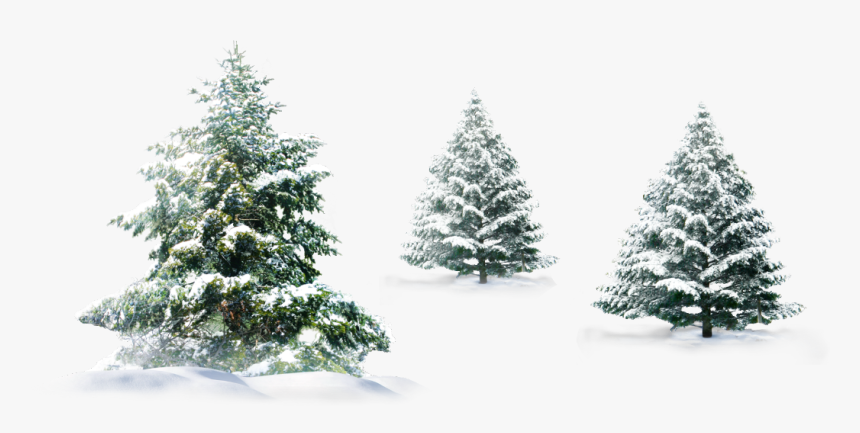Transparent Background Christmas Snow Png, Png Download