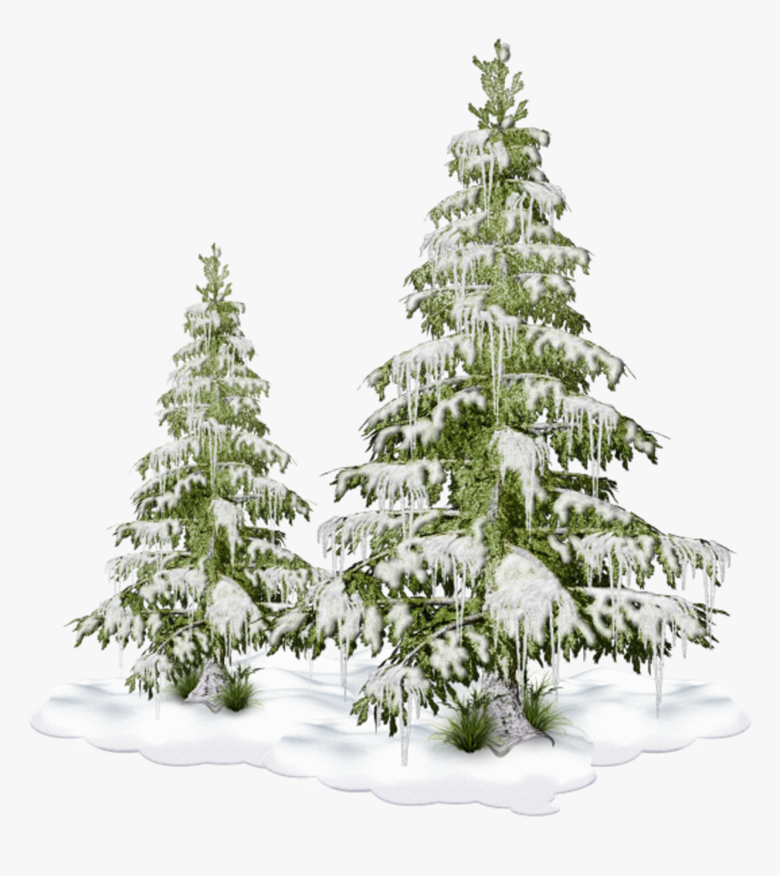 Freetoedit Nature Tree Christmastree Snow Winter, HD Png Download