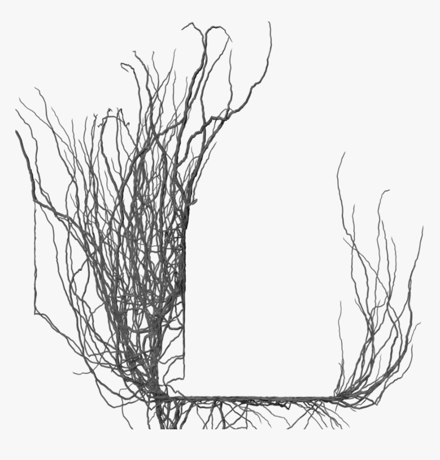 Frame By Brokenwing Dstock - Gothic White Frame Png, Transparent Png