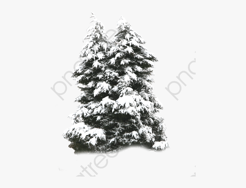 Frost Png Psd Frost Png Psd - Tree With Snow Png, Transparent Png