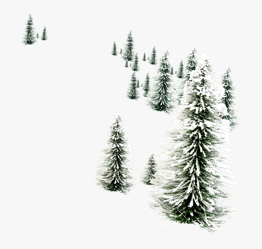 Christmas Wallpaper Hd Snowmen, HD Png Download