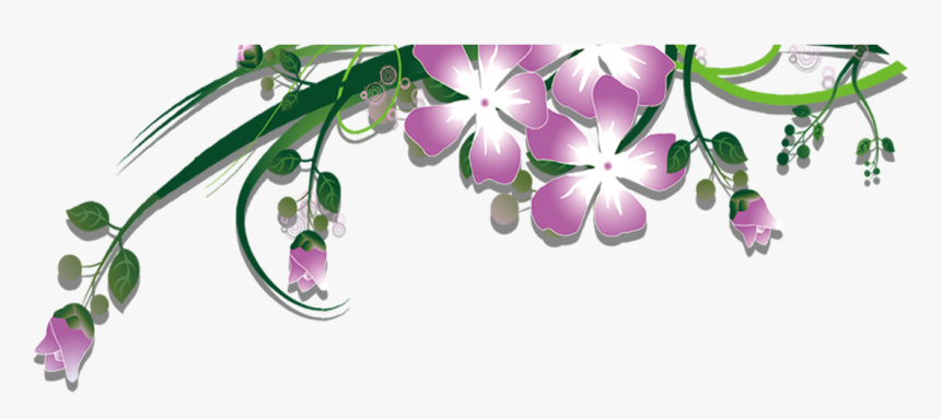 Garland Clipart Plant - Cooktown Orchid, HD Png Download