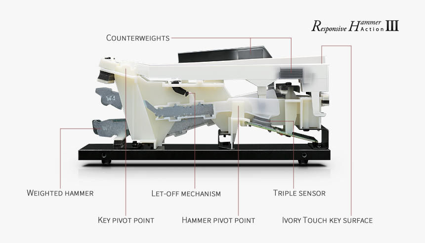 Cn29 - Kawai Cn29, HD Png Download