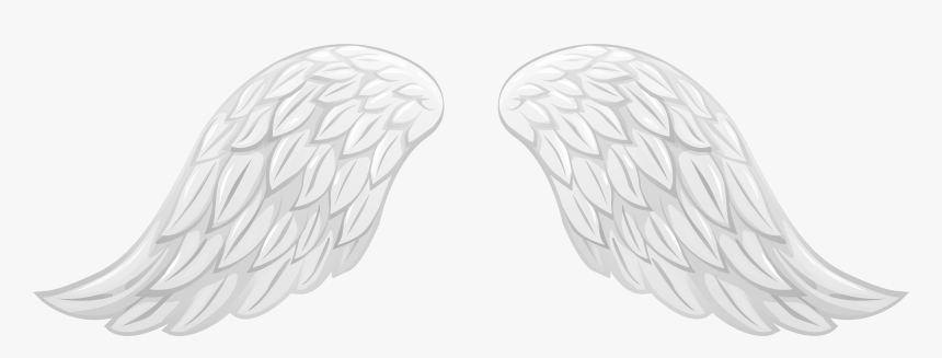 Wings Transparent Clipart - Wings Angel White Clipart Png, Png Download