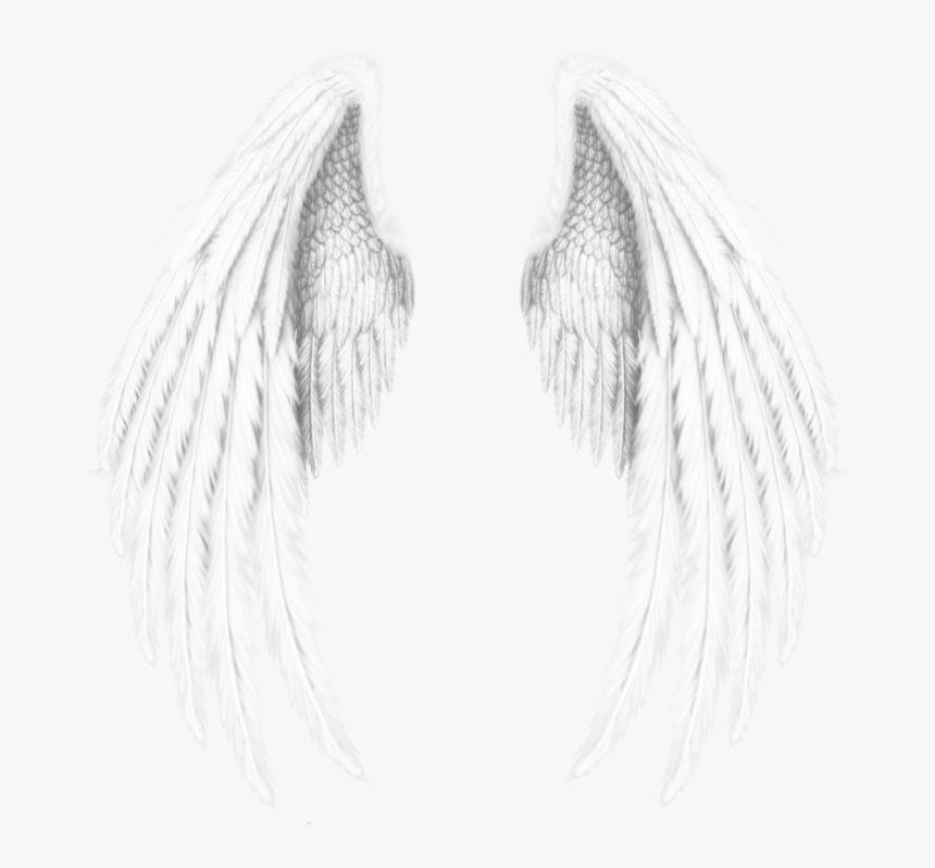 #wings #angel #angels #angelwings #feathers #freetoedit - Wings Angel, HD Png Download