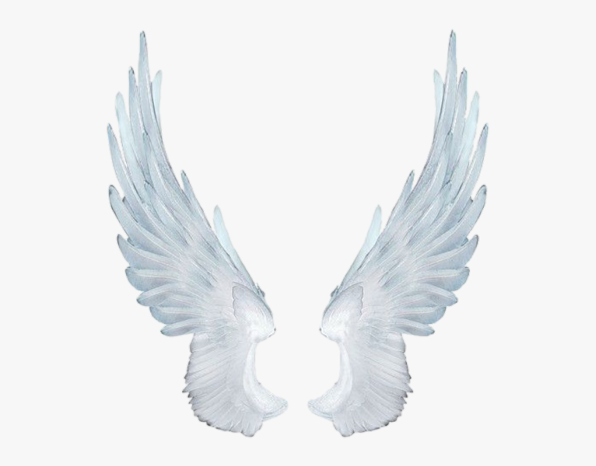 #wing #fairy #fairywing #sky #fly #wings #wingsofanangel - White Angel Wings, HD Png Download