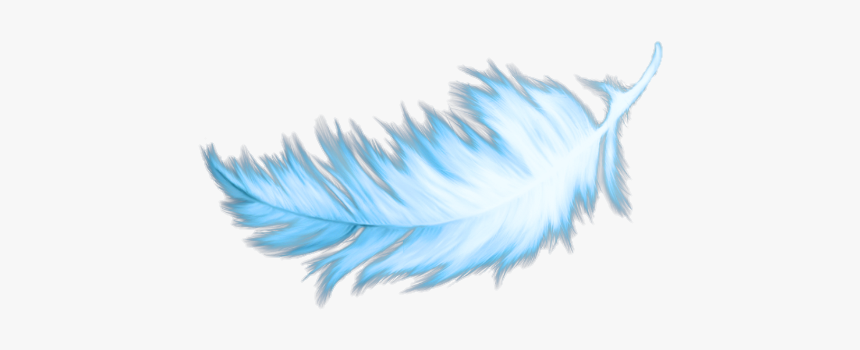 #wing #feather #love #free #freedom #freetoedit #remixit - Macro Photography, HD Png Download