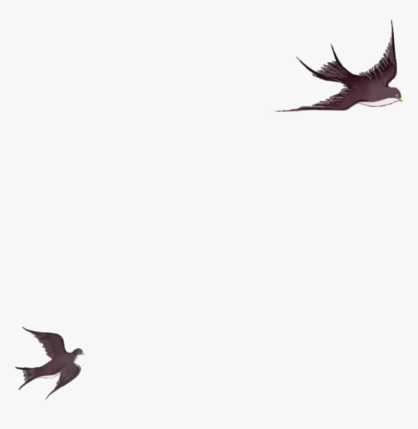 黑色飞翔的卡通燕子图片 - Vẽ Chim Bay, HD Png Download
