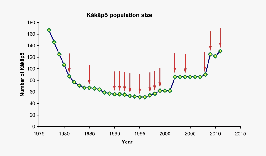 Dumbo Octopus Population Chart, HD Png Download