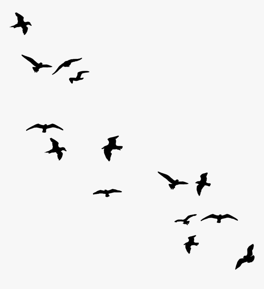 Bird Flying Silhouette Png, Transparent Png