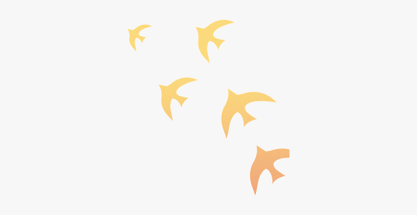 Star, HD Png Download