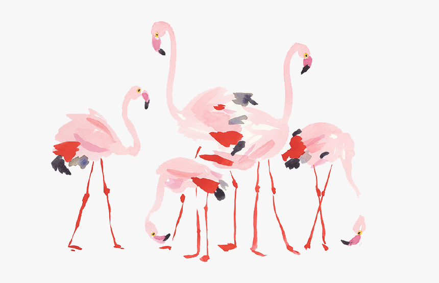 手绘水彩火烈鸟图片 - Flamingo, HD Png Download