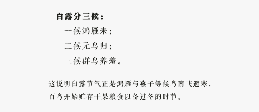 Document, HD Png Download