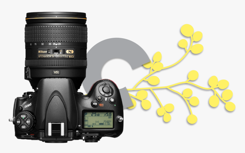 Nikon D800, HD Png Download