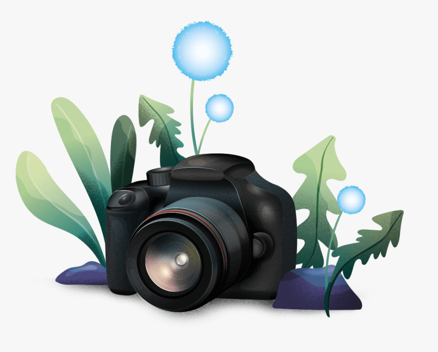 Single-lens Reflex Camera, HD Png Download