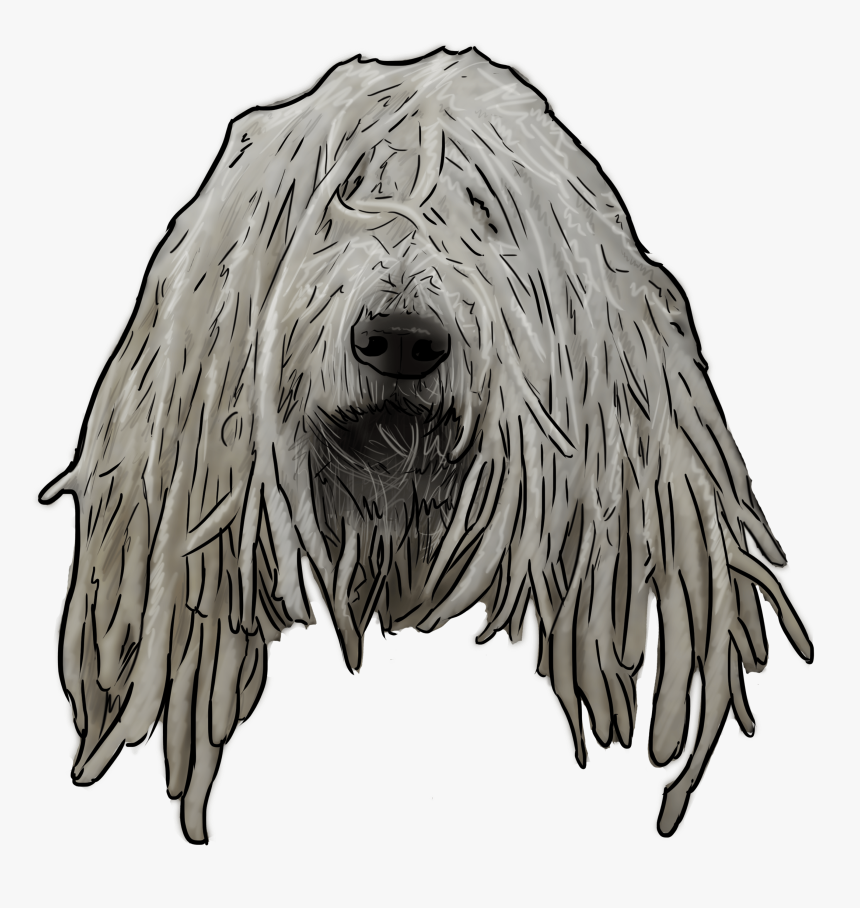 Komondor, HD Png Download