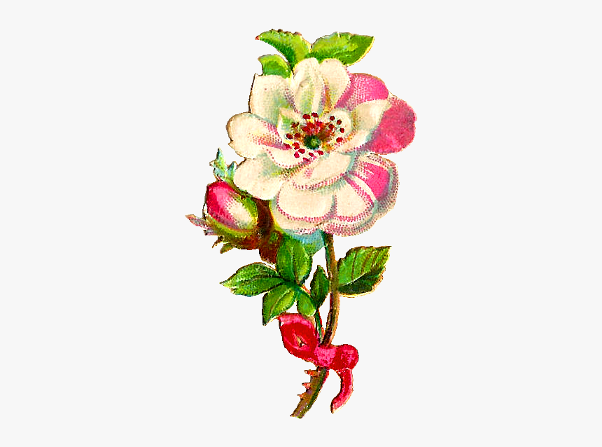 Free Flower Clip Art - Quranic Verses About Youth, HD Png Download