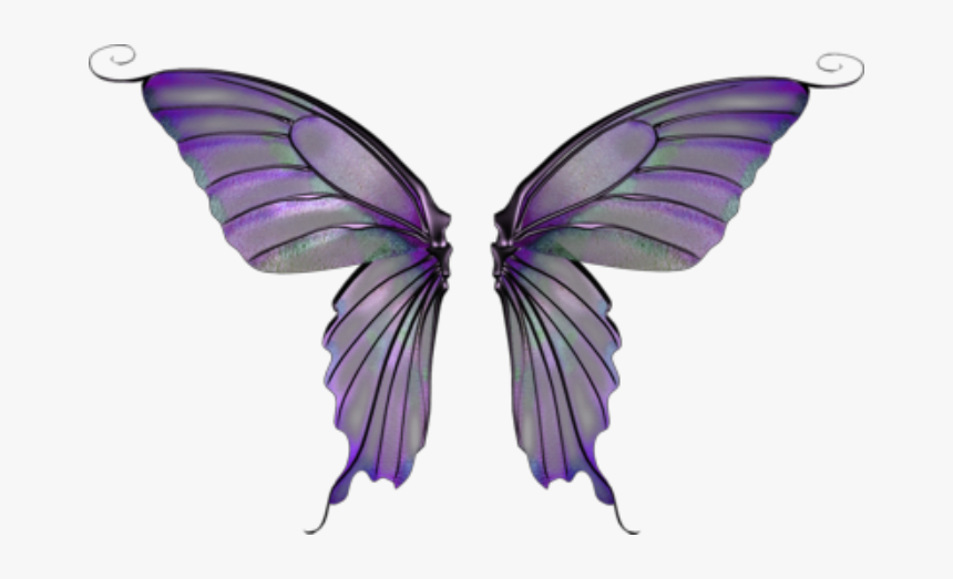 #wings #butterflywings #fairywings #faerywings #costume - Purple Fairy Wings Transparent, HD Png Download