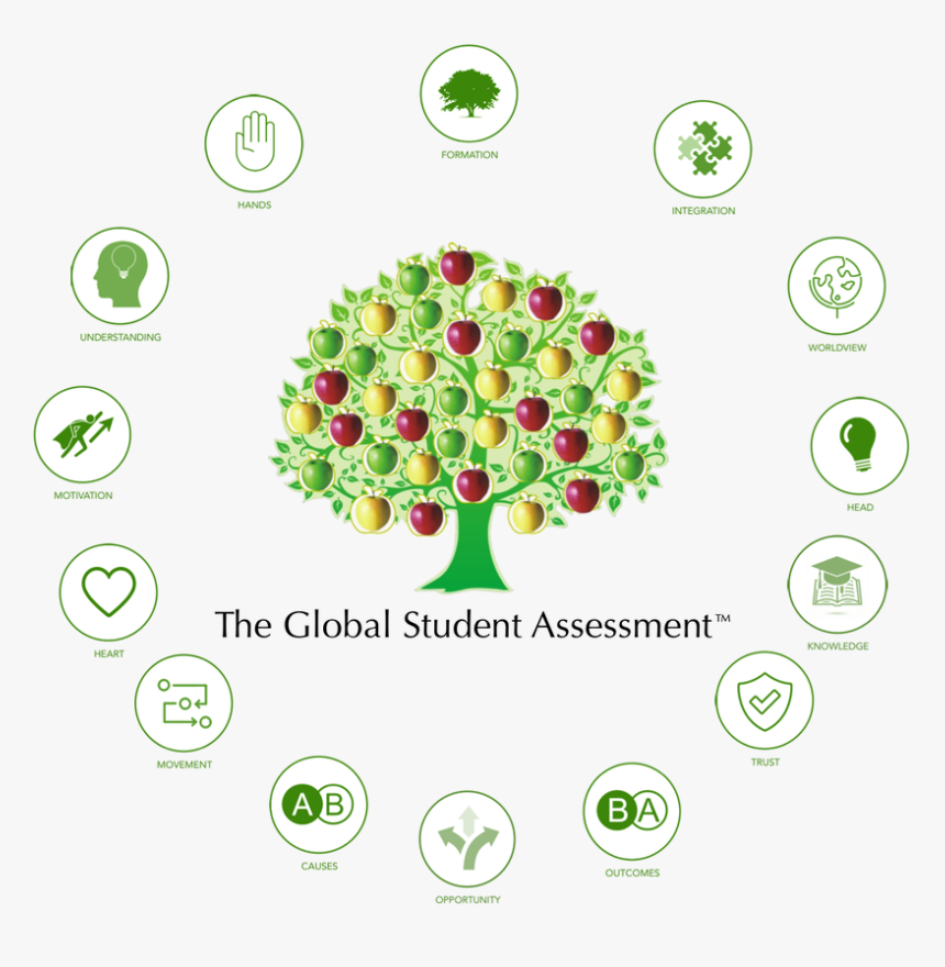 Picture - Circle, HD Png Download