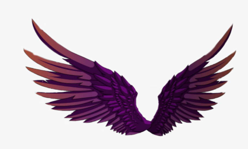 #wings #angel #angelwings #wing #fairy #fairywings
• - Illustration, HD Png Download