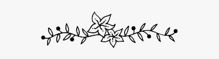#flower #black #vine #handdrawn #art #divider #elegant - Elegant Flower Png Black, Transparent Png