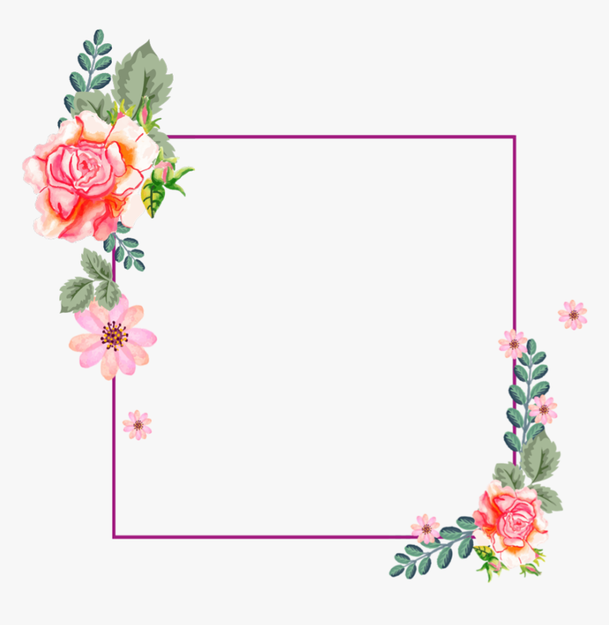 Garden Roses, HD Png Download