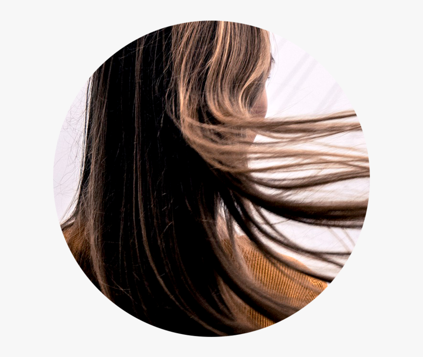 Hair - Head Hair, HD Png Download