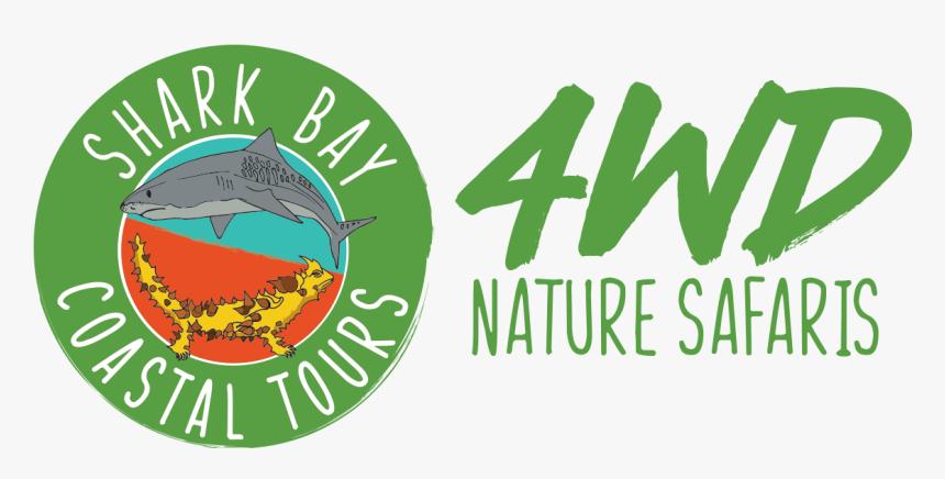Shark Bay Png - Illustration, Transparent Png
