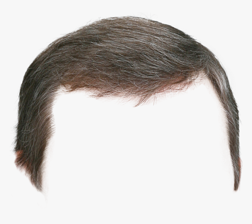Hair Wig Png - Парик Пнг, Transparent Png