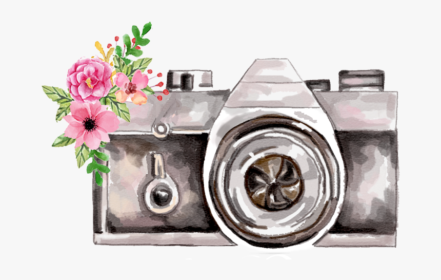 Sarah Denison Photography - Photography, HD Png Download