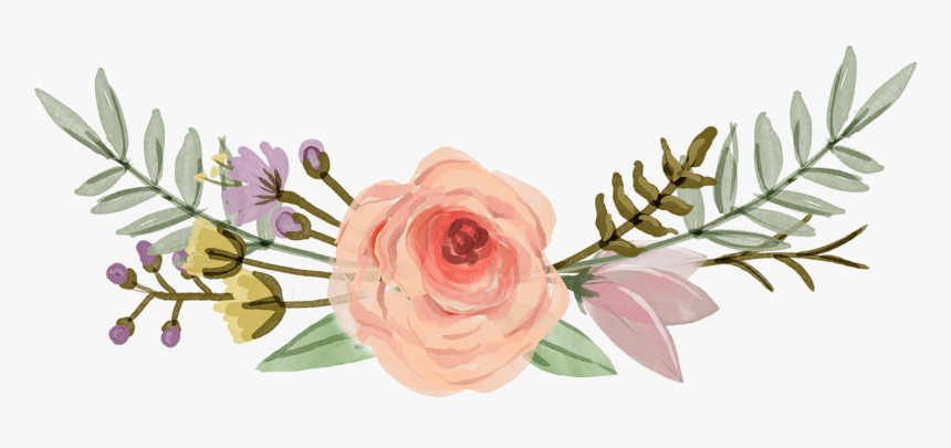 Garden Roses, HD Png Download