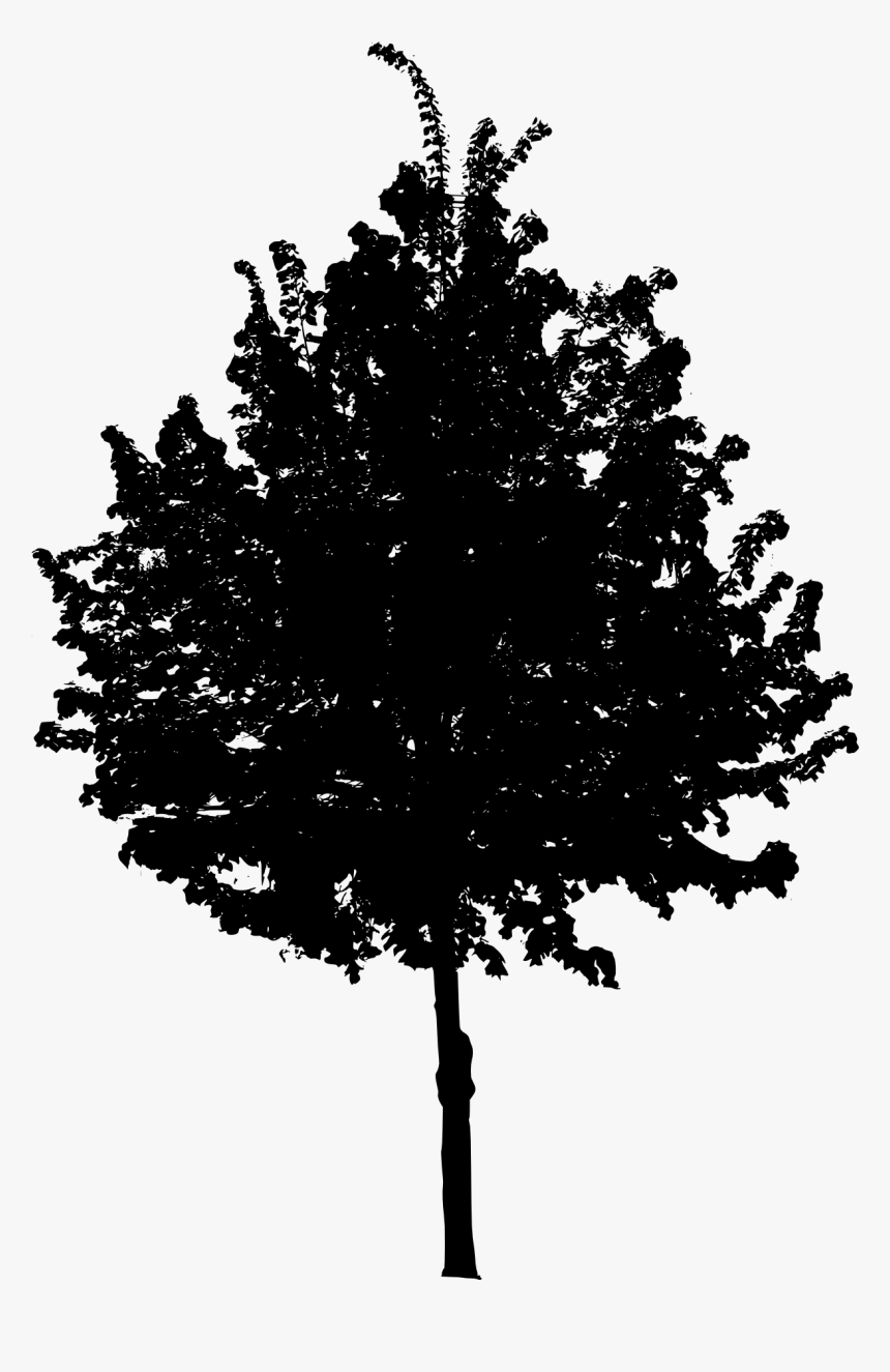 Tree-4 - Black Tree Png, Transparent Png