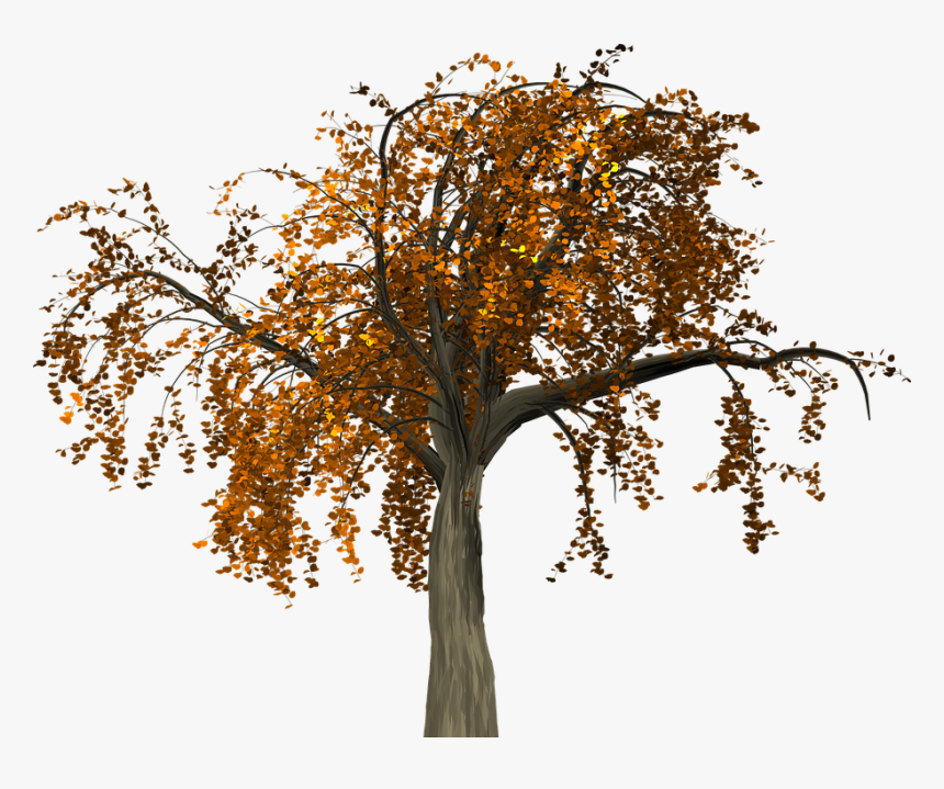 Fall Tree Branch Png - Branch Autumn Png, Transparent Png