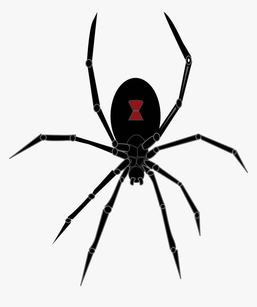 Black Widow Spider Png Clipart - Black Widow Spider Icon, Transparent Png