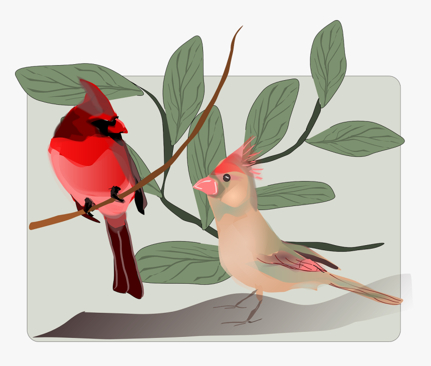 Bülbül Clipart, HD Png Download