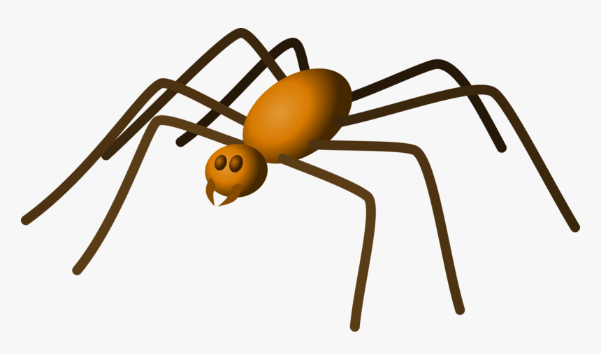 Spider,pest,widow Art,line,ant,membrane Winged Insect,arthropod,tangle - Brown Spider Clip Art, HD Png Download